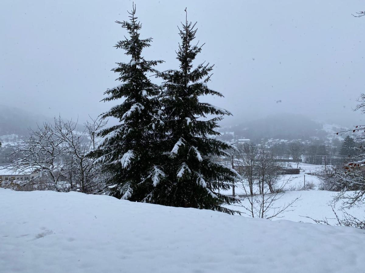 Ma Jolie Camyna Villa Ramonchamp Bagian luar foto